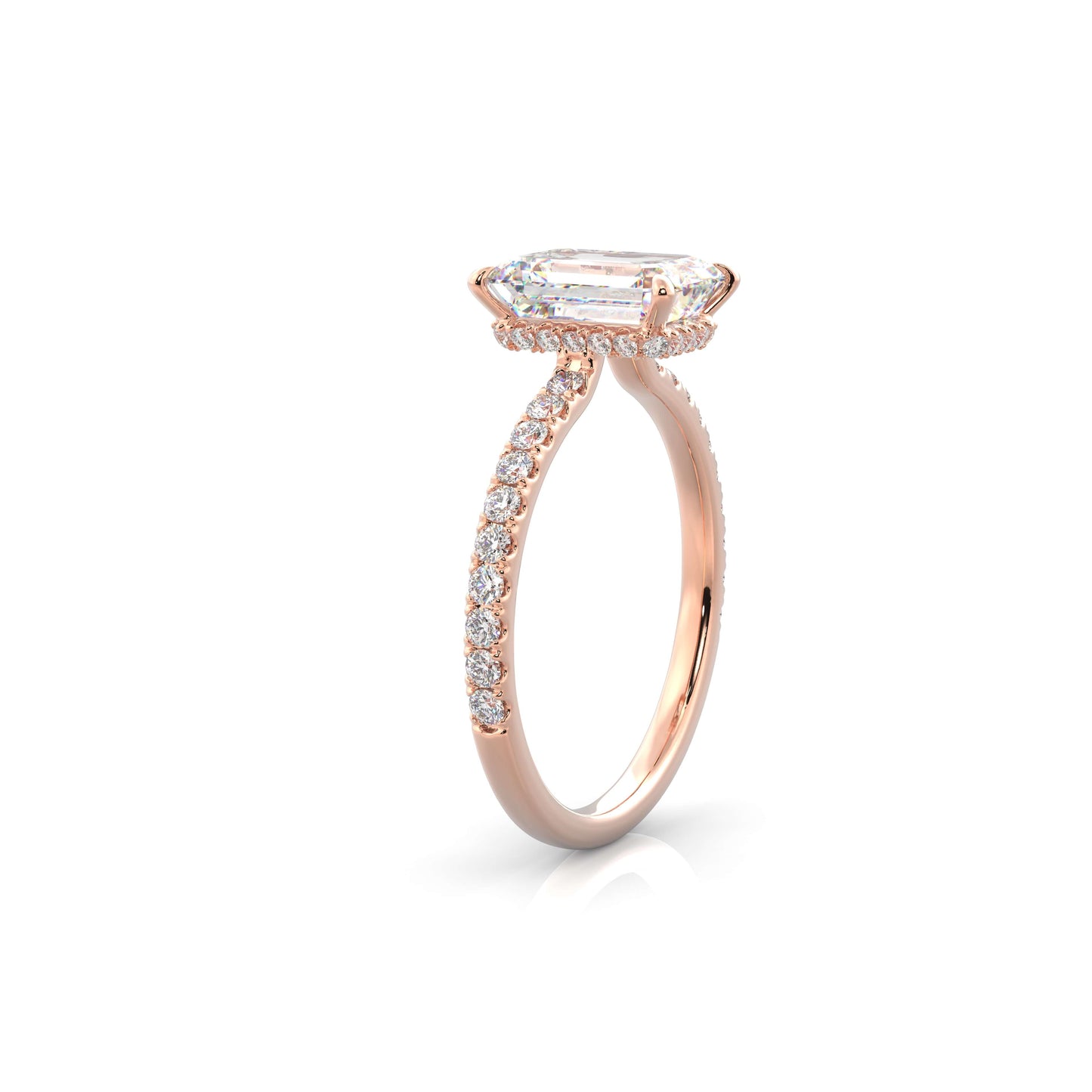 The Sophie