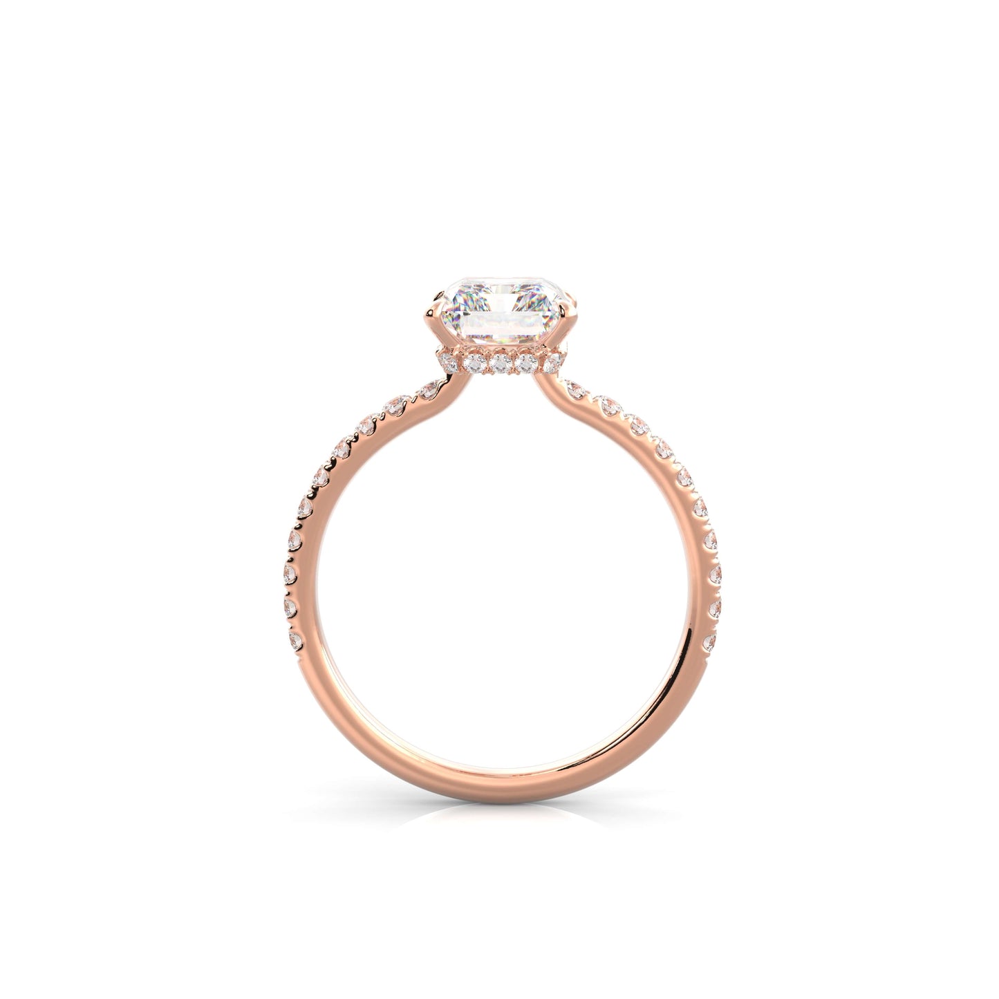 The Sophie