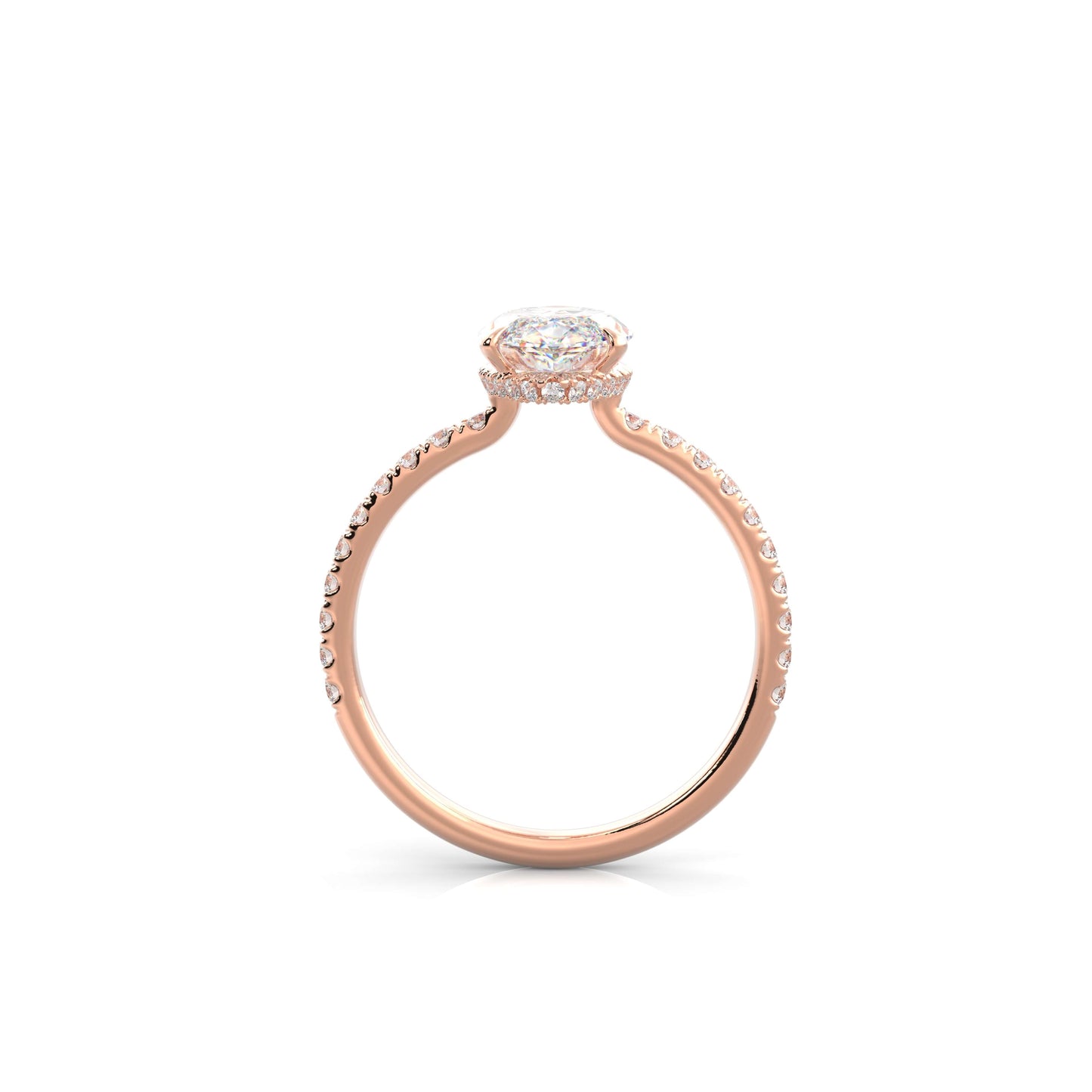 The Sophie