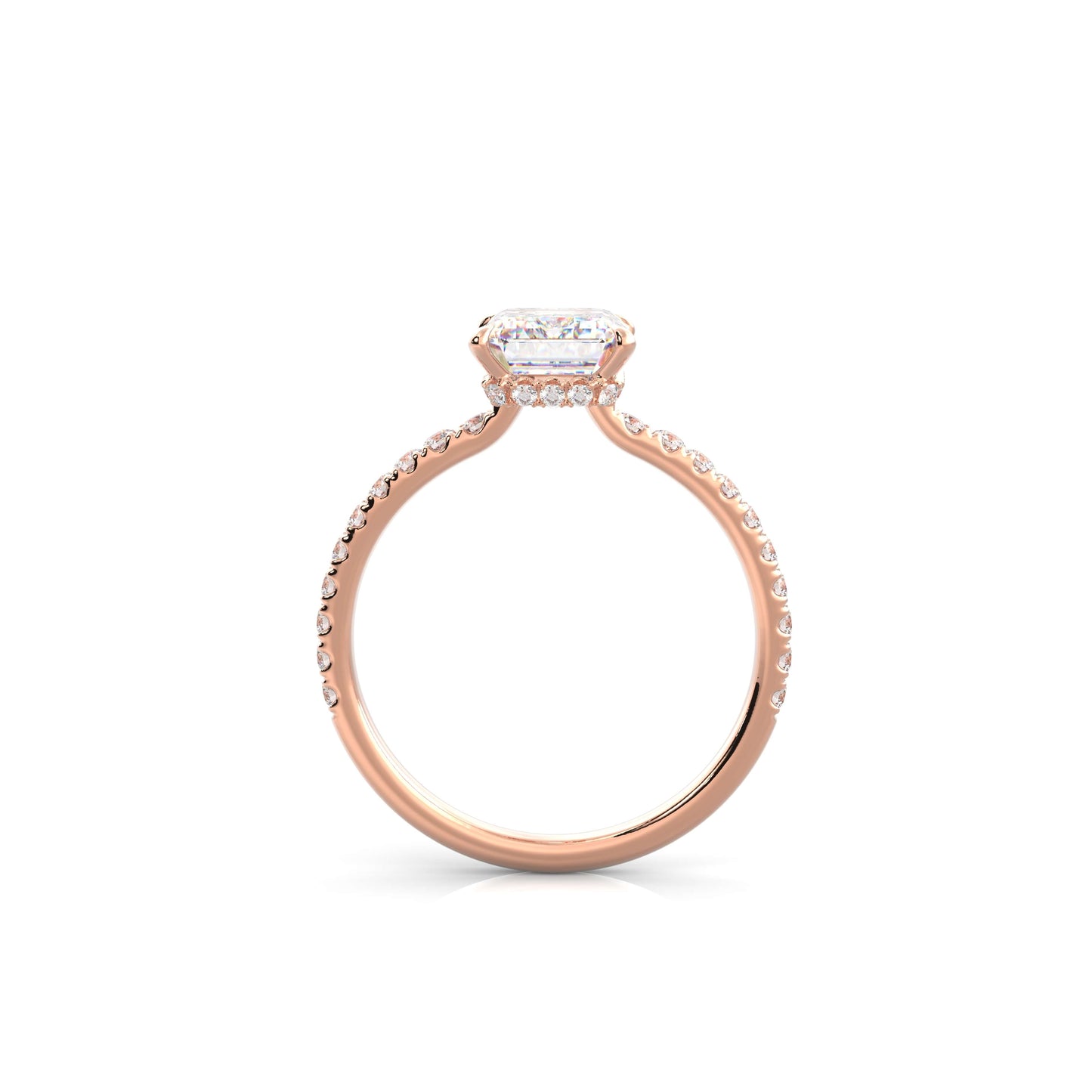 The Sophie