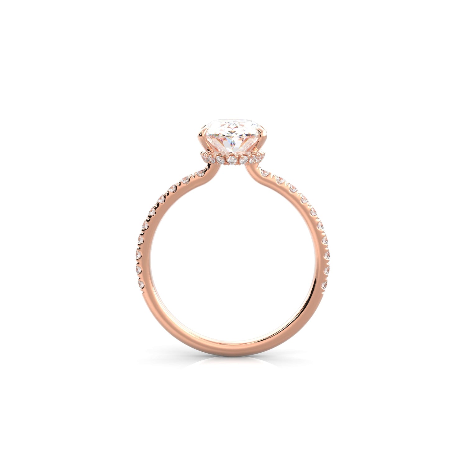 The Sophie