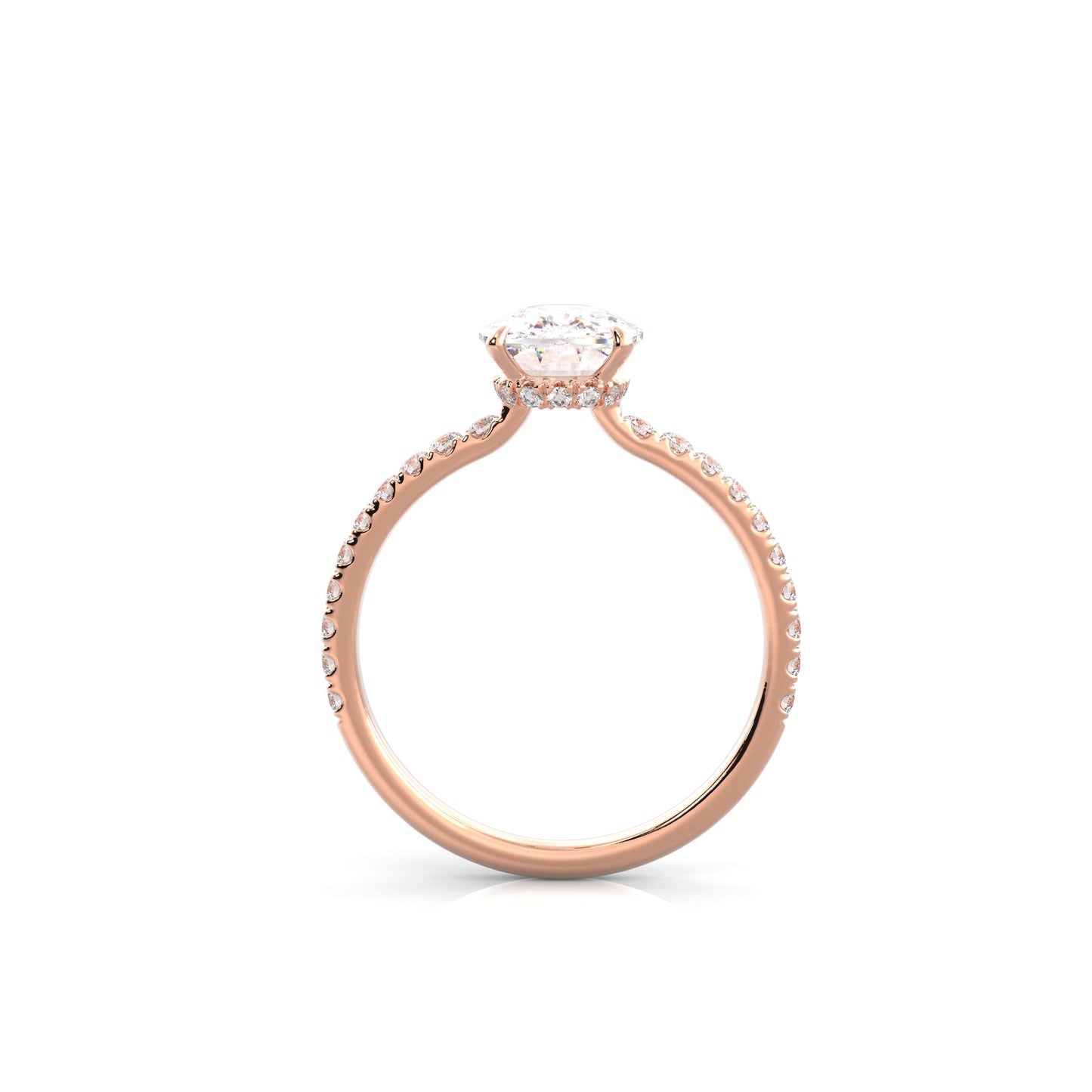 The Sophie