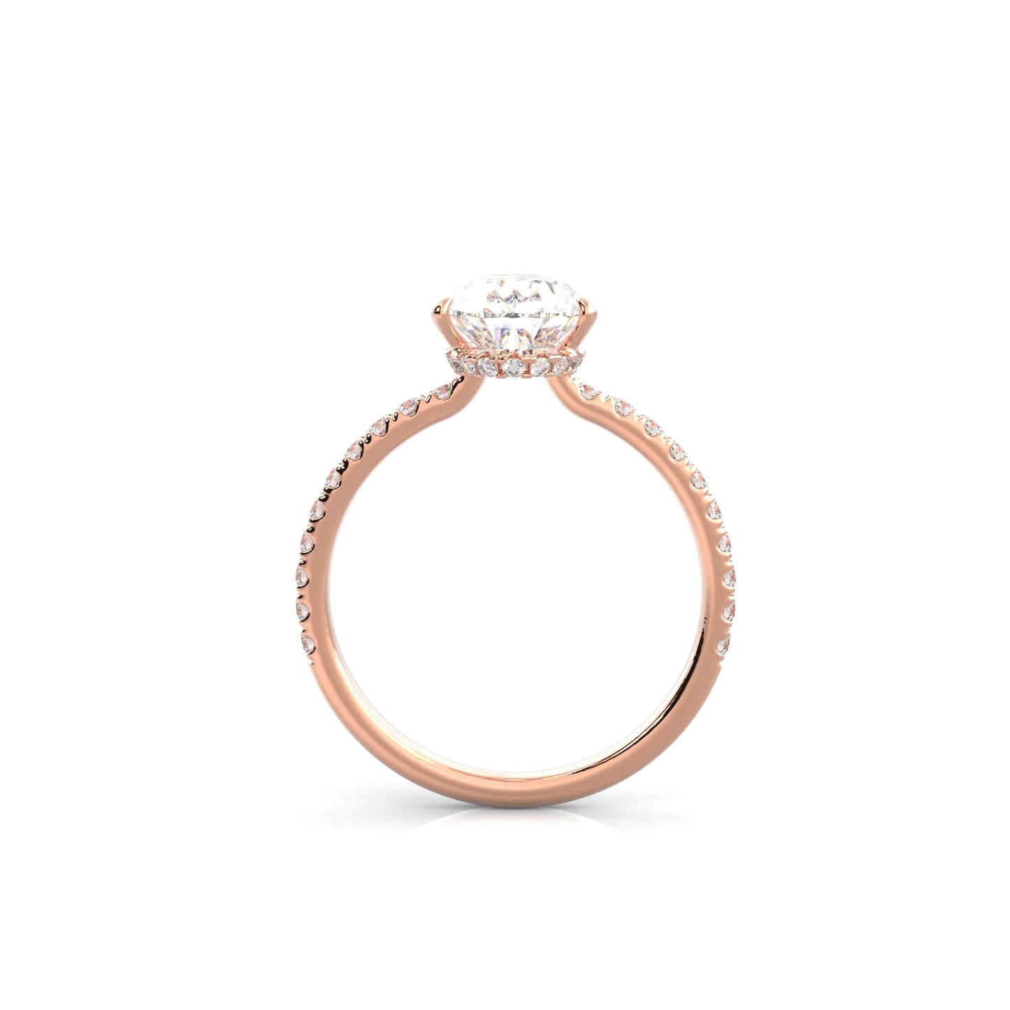 The Sophie