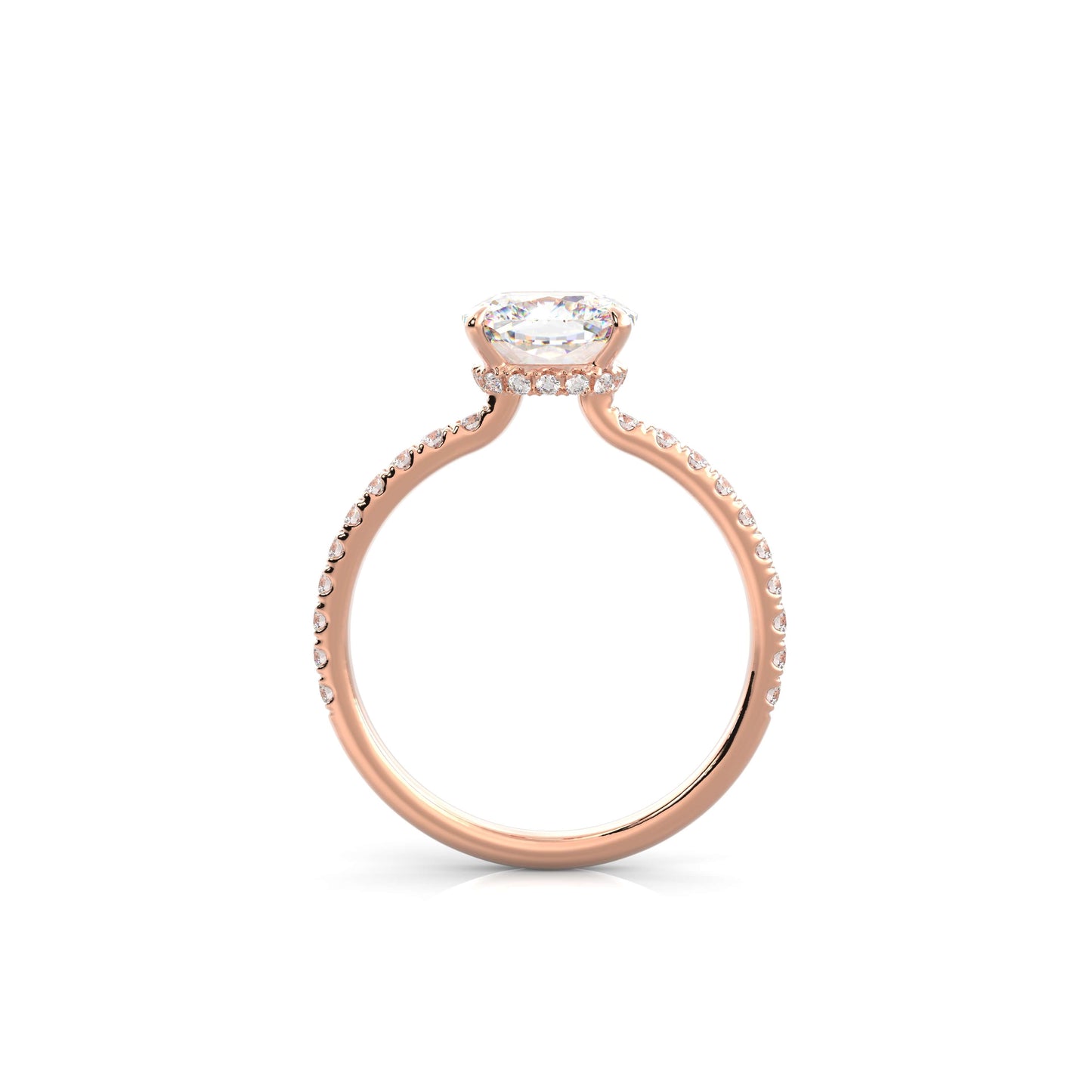 The Sophie