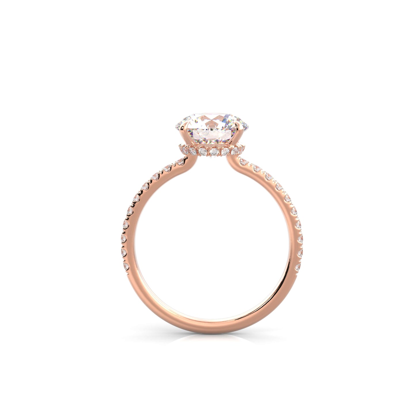 The Sophie