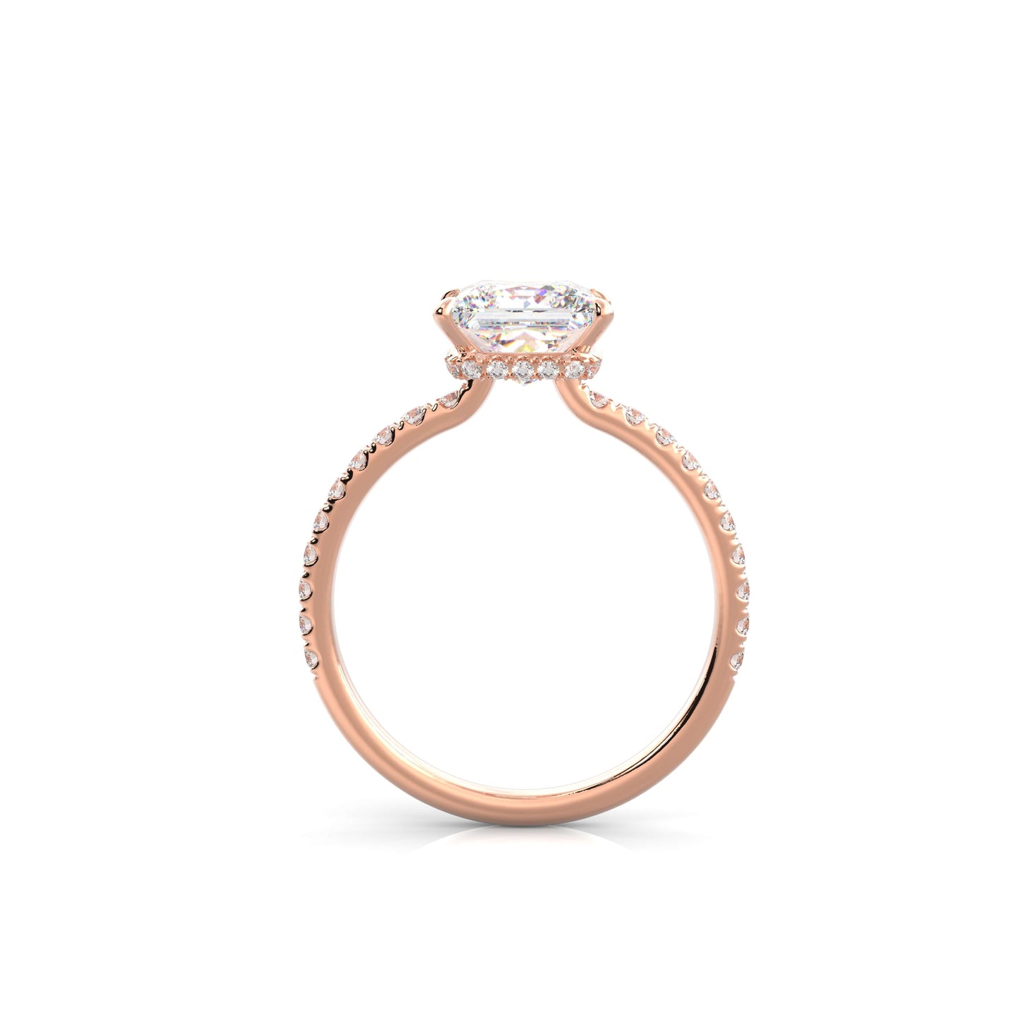The Sophie