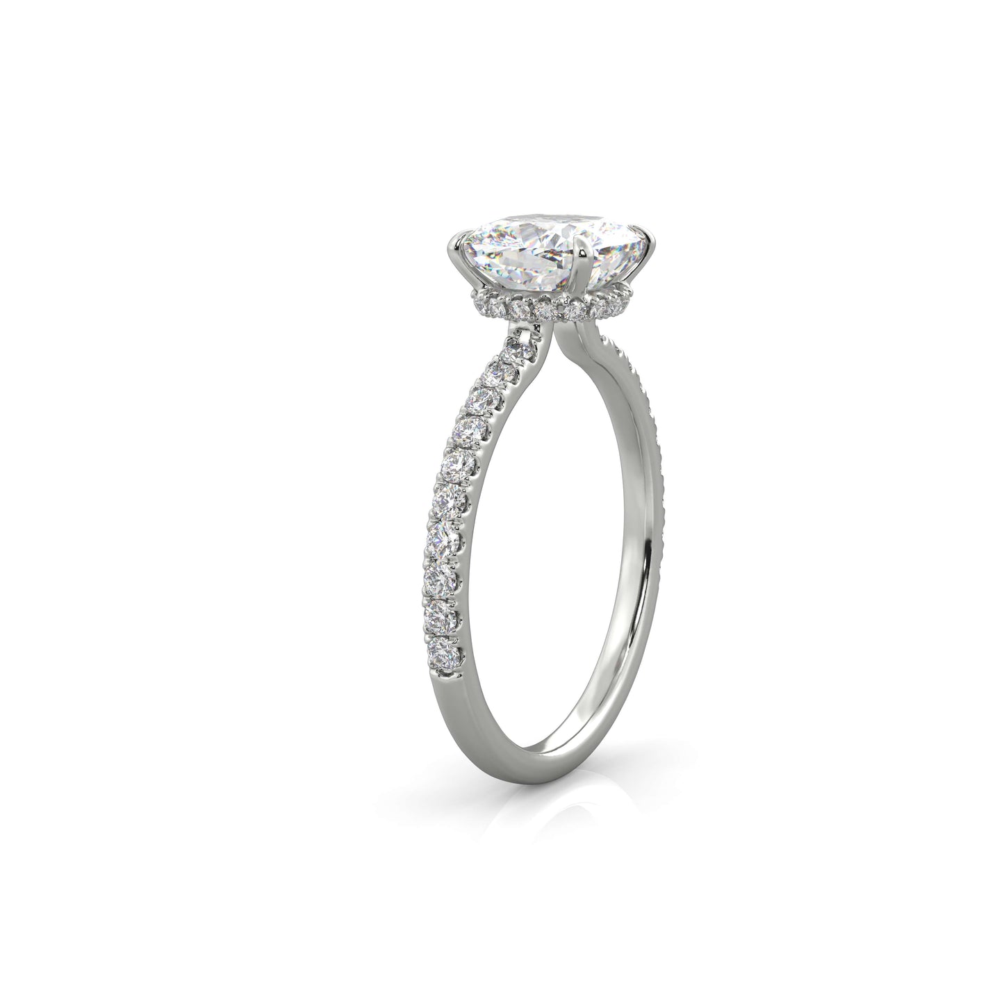 The Sophie