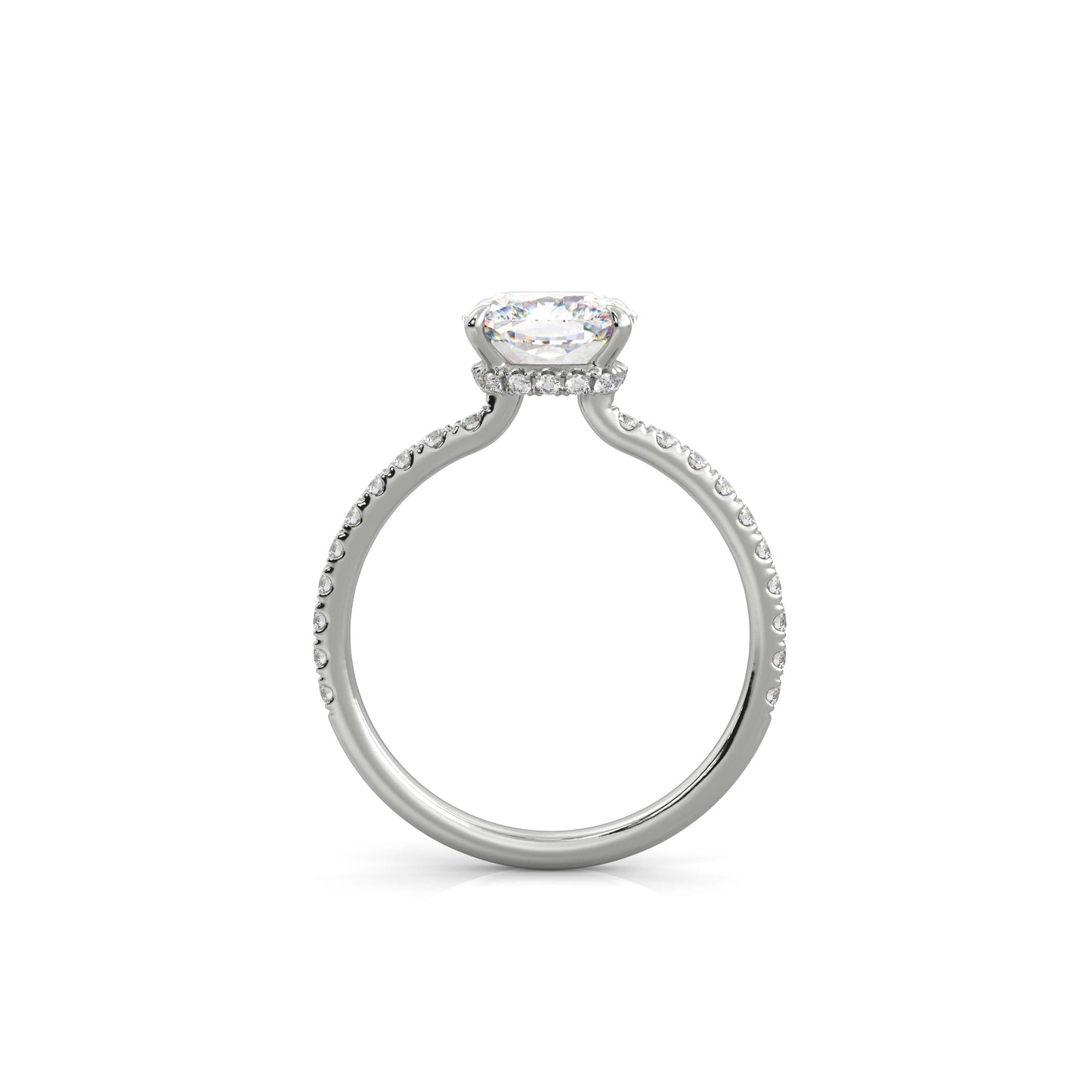 The Sophie