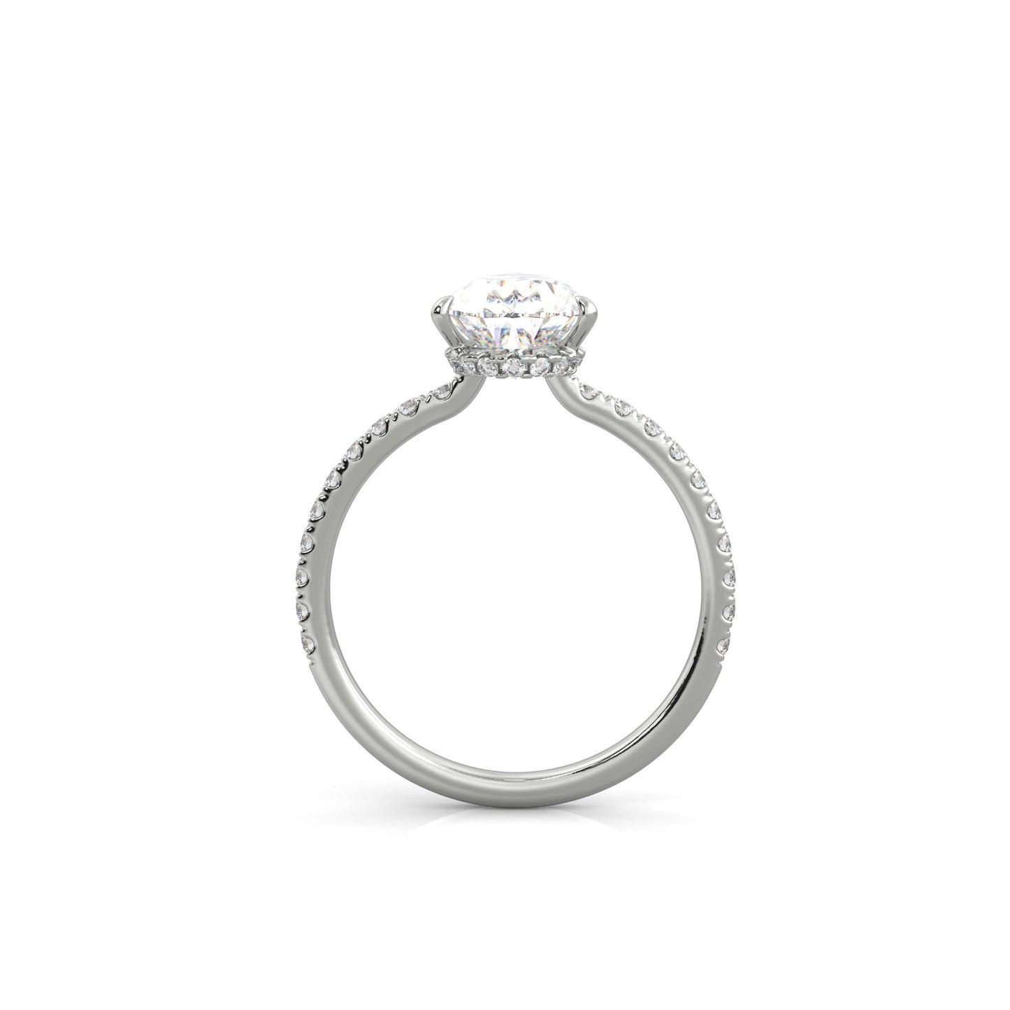 The Sophie