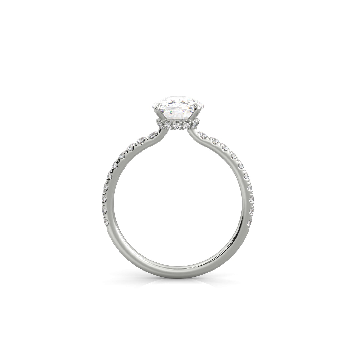 The Sophie