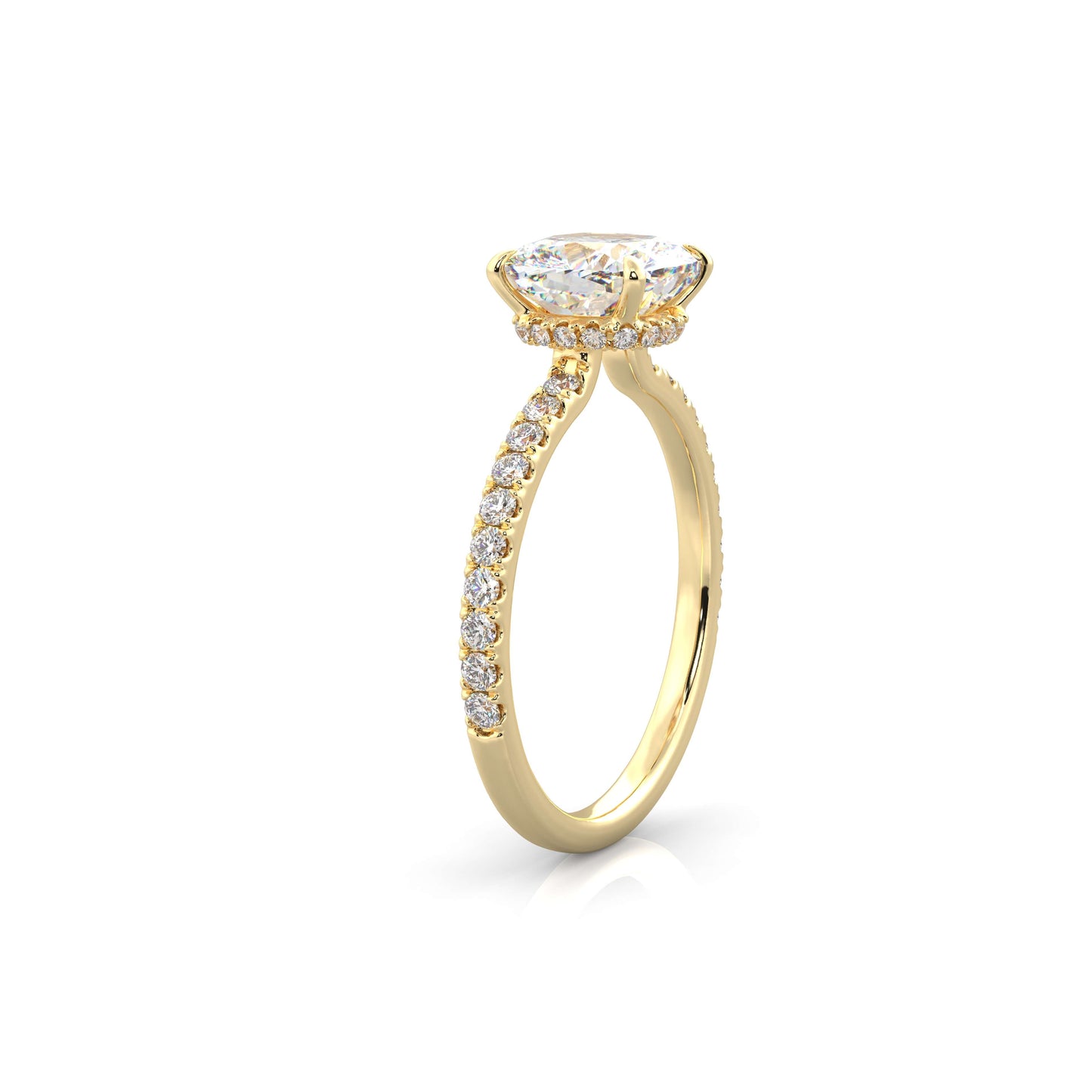 The Sophie