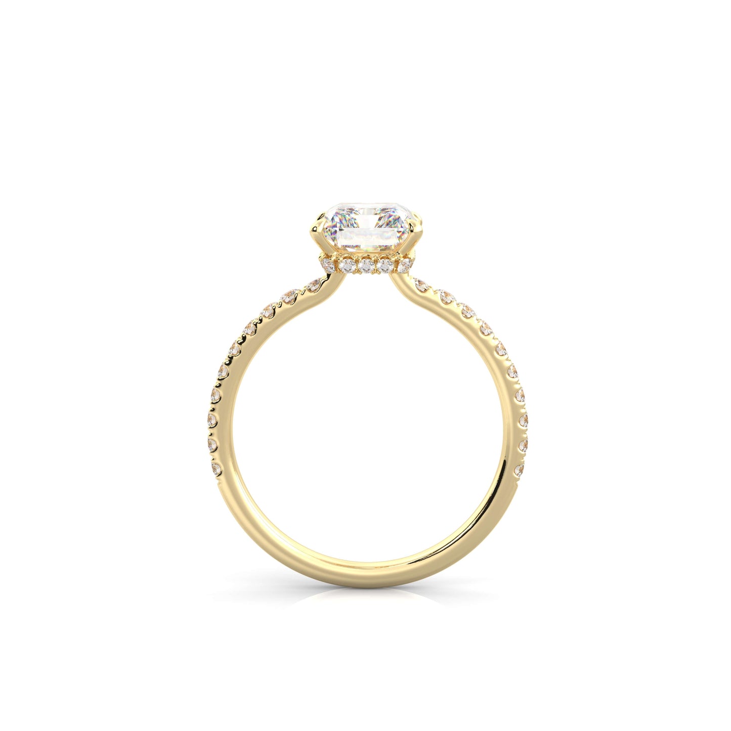 The Sophie