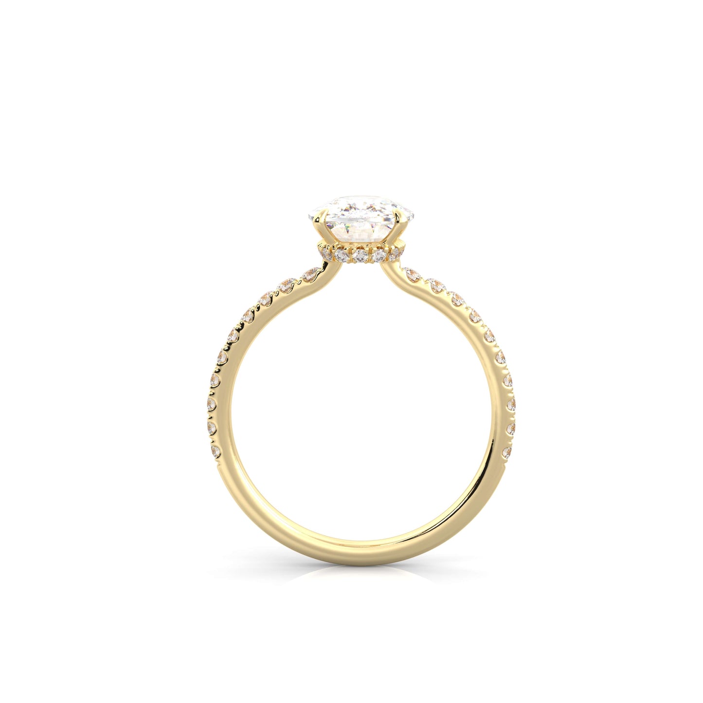 The Sophie