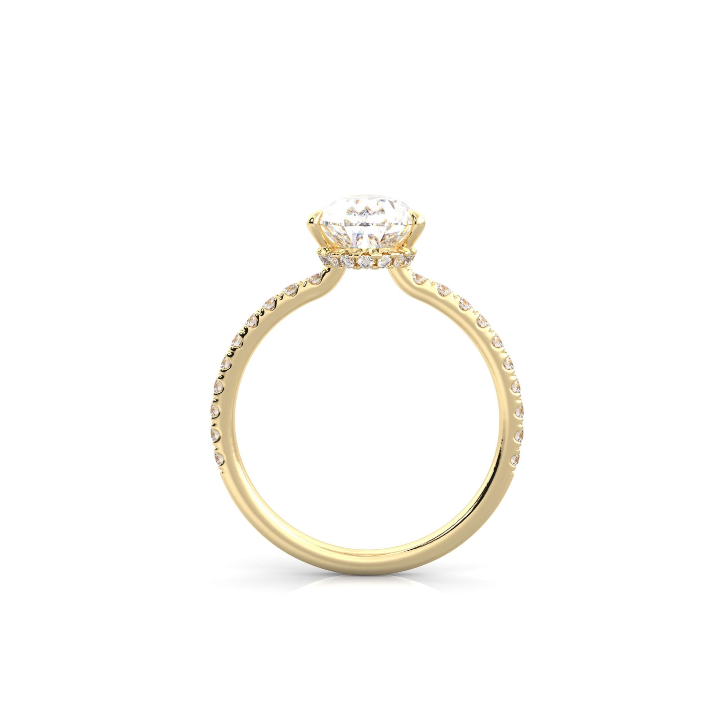 The Sophie