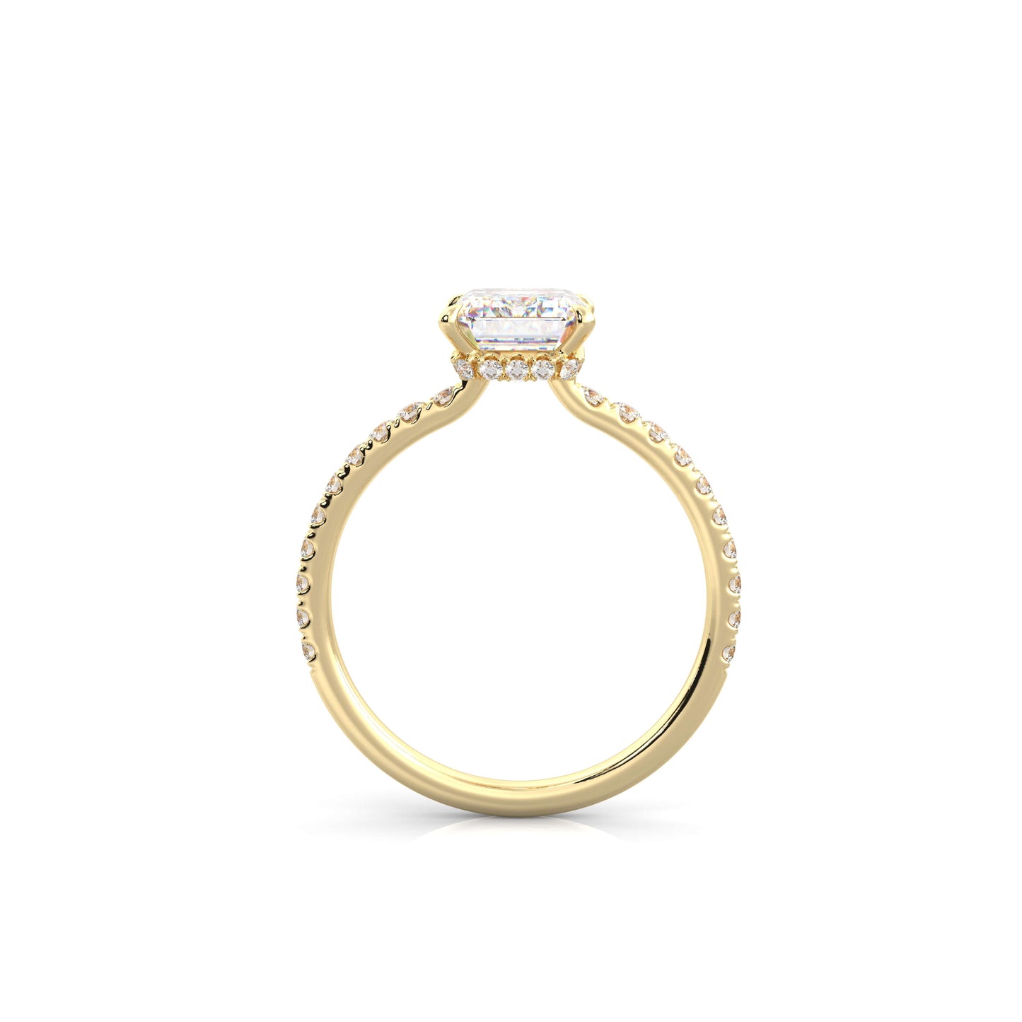 The Sophie
