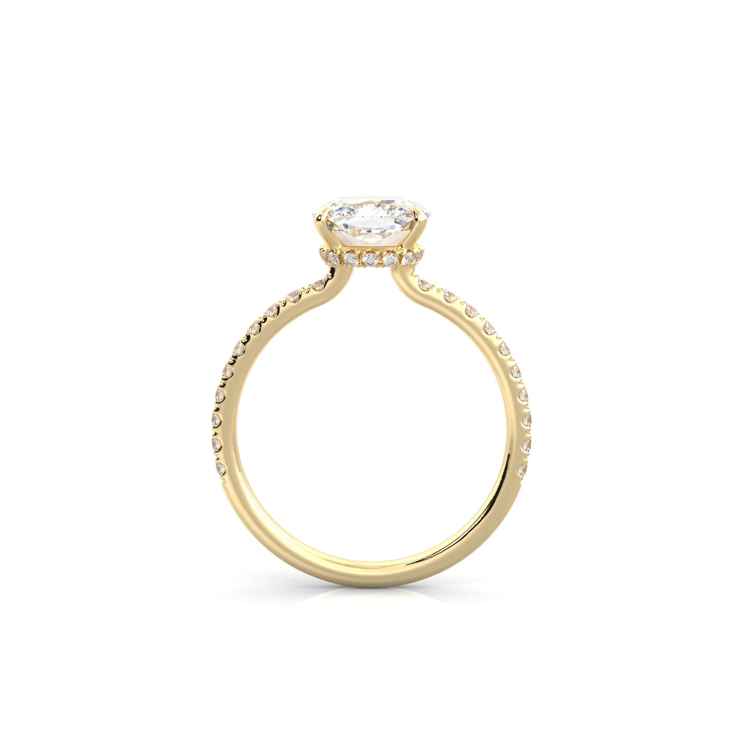 The Sophie