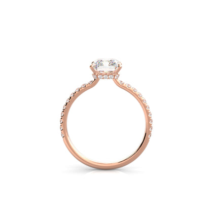 The Sophie