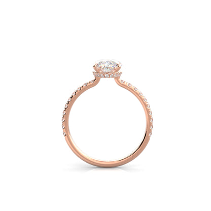 The Sophie