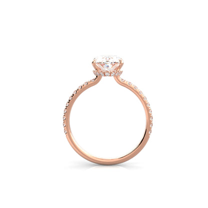 The Sophie