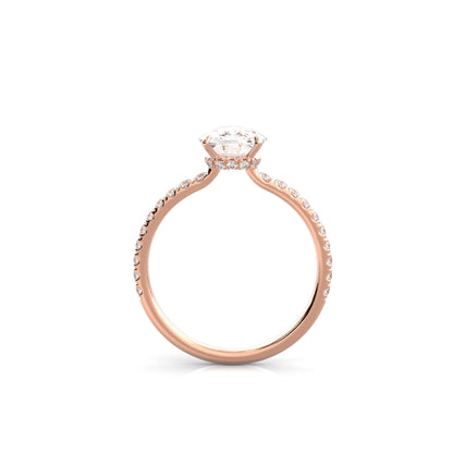 The Sophie
