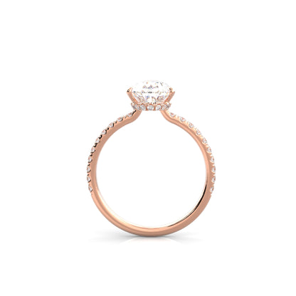 The Sophie