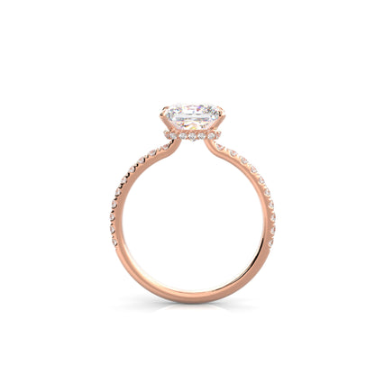The Sophie