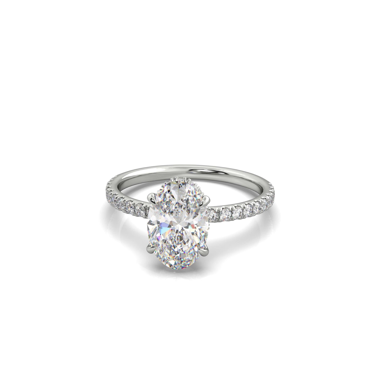 Completed Ring (United States Size 8.00)