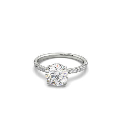 The Sophie