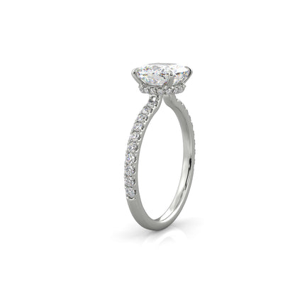 The Sophie