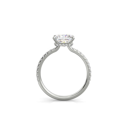 The Sophie
