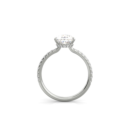 The Sophie