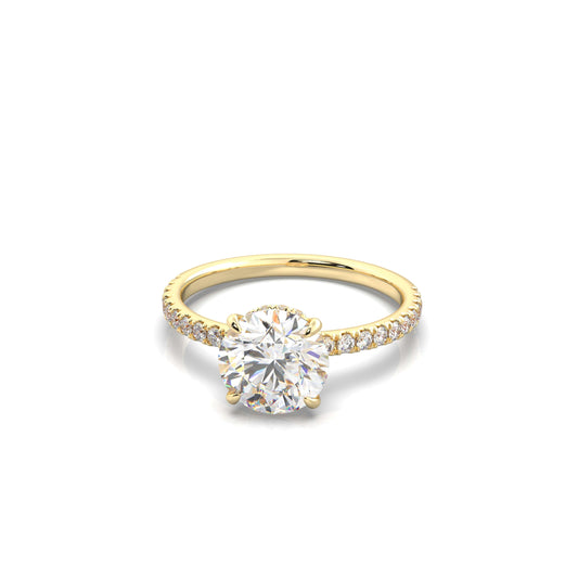 The Sophie