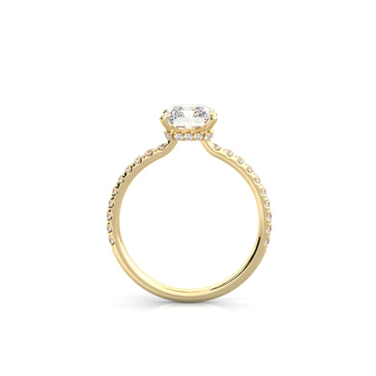 The Sophie