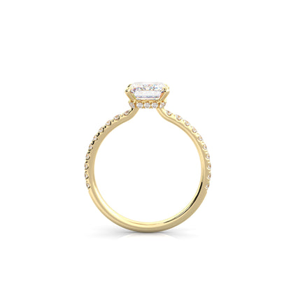 The Sophie