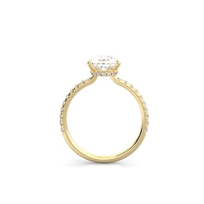 The Sophie